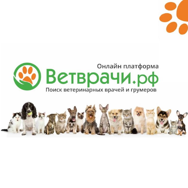 Ветеринарный портал РФ